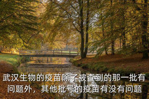 武漢生物的疫苗除了被查到的那一批有問題外，其他批號的疫苗有沒有問題