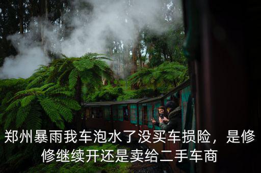 鄭州暴雨我車(chē)泡水了沒(méi)買(mǎi)車(chē)損險(xiǎn)，是修修繼續(xù)開(kāi)還是賣(mài)給二手車(chē)商