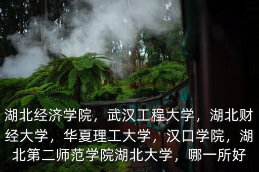 湖北經(jīng)濟(jì)學(xué)院，武漢工程大學(xué)，湖北財經(jīng)大學(xué)，華夏理工大學(xué)，漢口學(xué)院，湖北第二師范學(xué)院湖北大學(xué)，哪一所好