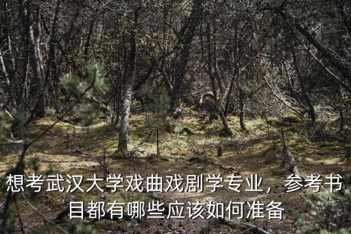 想考武漢大學戲曲戲劇學專業，參考書目都有哪些應該如何準備