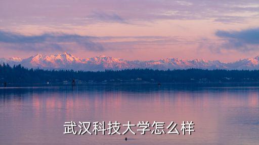 武漢科技大學怎么樣