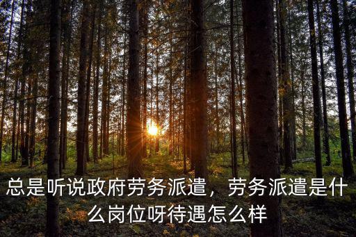 總是聽說政府勞務派遣，勞務派遣是什么崗位呀待遇怎么樣