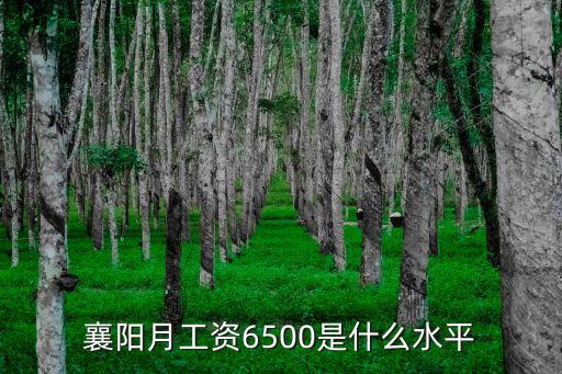 襄陽月工資6500是什么水平