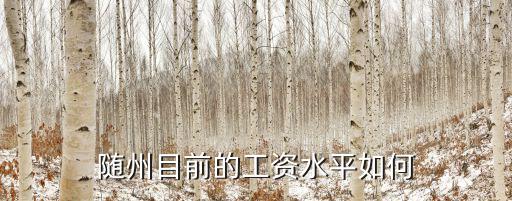 隨州華威工資怎么樣,隨州的經濟發展怎么樣