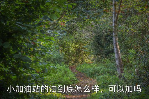 小加油站的油到底怎么樣，可以加嗎