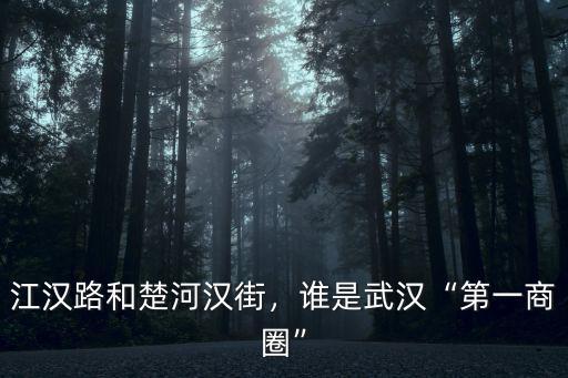 武漢江漢路小龍蝦怎么,江漢路和楚河漢街