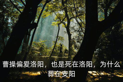 安陽草木村在哪里,為什么葬在安陽