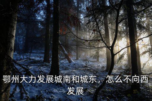 鄂州人是怎么過年的,鄂州人是怎么過年的