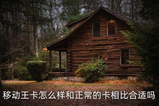 湖北移動的流量王卡怎么樣,移動王卡怎么樣