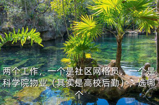 兩個(gè)工作，一個(gè)是社區(qū)網(wǎng)格員，一個(gè)是科學(xué)院物業(yè)（其實(shí)是高校后勤），選哪個(gè)