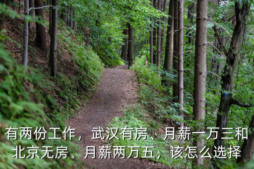 北京與武漢工作怎么選擇,武漢與廣州的工作該如何選擇
