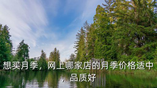 買月季到周口哪里,哪里能購到樹型月季