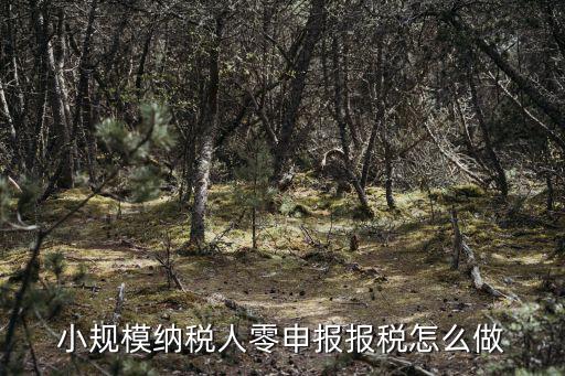 小規(guī)模納稅人零申報(bào)報(bào)稅怎么做