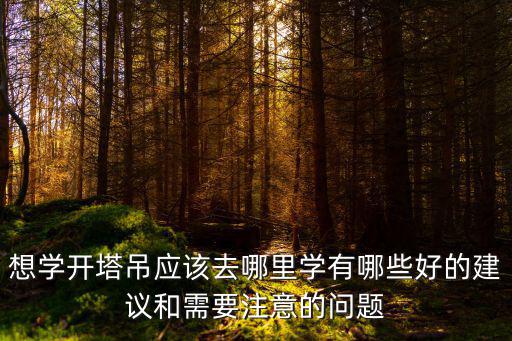 河南哪里有學(xué)塔吊的,哪里有學(xué)開塔吊的