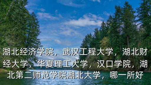 湖北經濟學院，武漢工程大學，湖北財經大學，華夏理工大學，漢口學院，湖北第二師范學院湖北大學，哪一所好