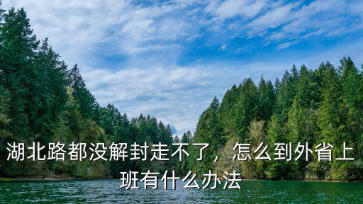 湖北路怎么走,湖北路都沒解封走不了