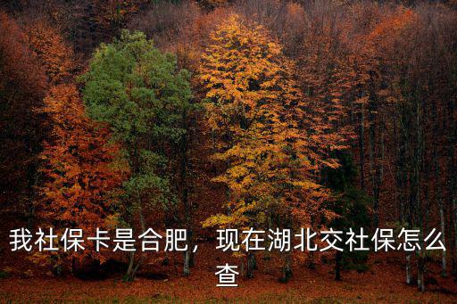湖北12333怎么交社保,現(xiàn)在湖北交社保怎么查