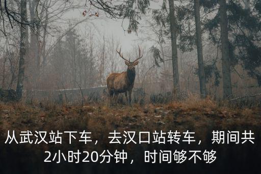從武漢站下車，去漢口站轉車，期間共2小時20分鐘，時間夠不夠