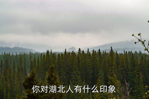 湖北楚之韻商貿怎么樣,湖北發展怎么樣