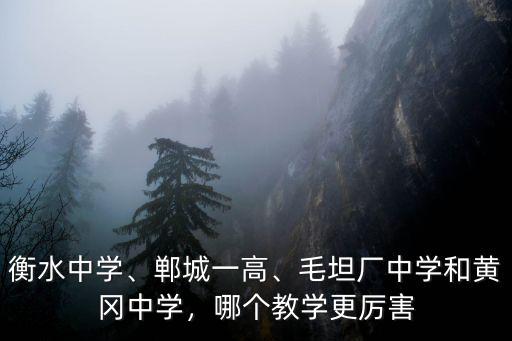 衡水中學(xué)、鄲城一高、毛坦廠中學(xué)和黃岡中學(xué)，哪個教學(xué)更厲害
