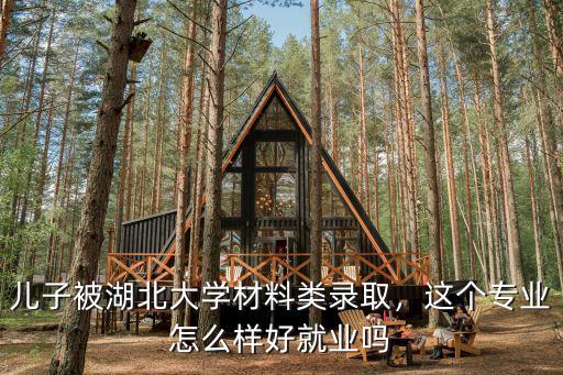 兒子被湖北大學材料類錄取，這個專業怎么樣好就業嗎