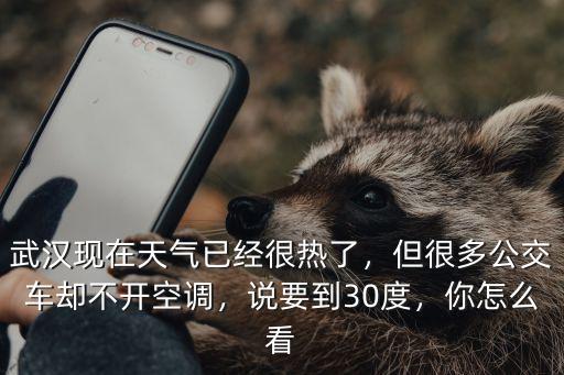 武漢現在天氣已經很熱了，但很多公交車卻不開空調，說要到30度，你怎么看