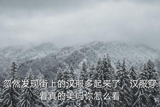 漢服小哥哥孝感怎么找,小姐姐小哥哥們
