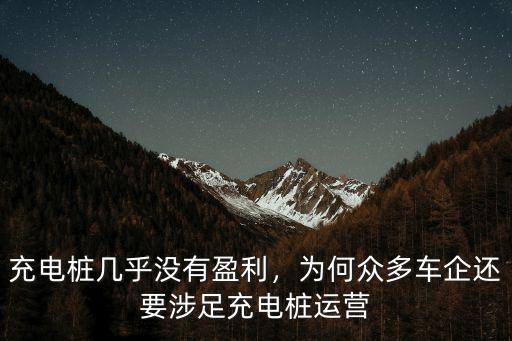 充電樁幾乎沒有盈利，為何眾多車企還要涉足充電樁運營
