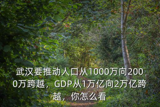 武漢未來人口怎么突破2000萬,打造2000萬人口超級城市