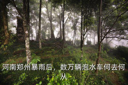 鄭州暴雨過后泡水車怎么辦,暴雨過后鄭州很多泡水車