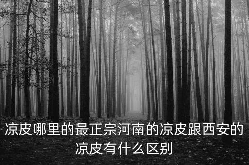 涼皮哪里的最正宗河南的涼皮跟西安的涼皮有什么區別