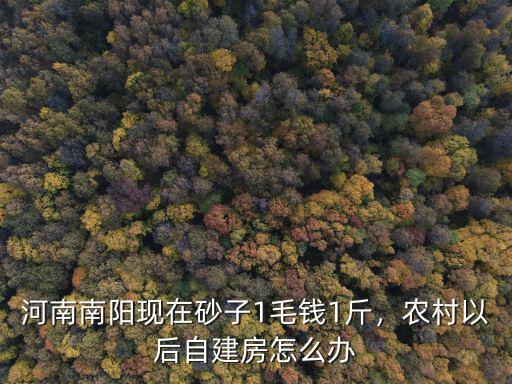 河南南陽現在砂子1毛錢1斤，農村以后自建房怎么辦