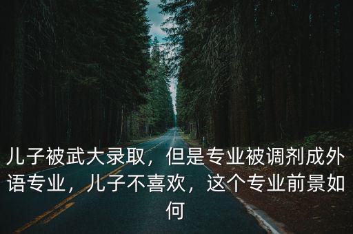 兒子被武大錄取，但是專業被調劑成外語專業，兒子不喜歡，這個專業前景如何