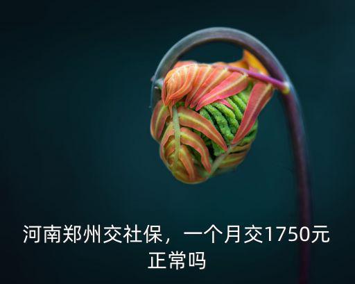 河南鄭州交社保，一個月交1750元正常嗎