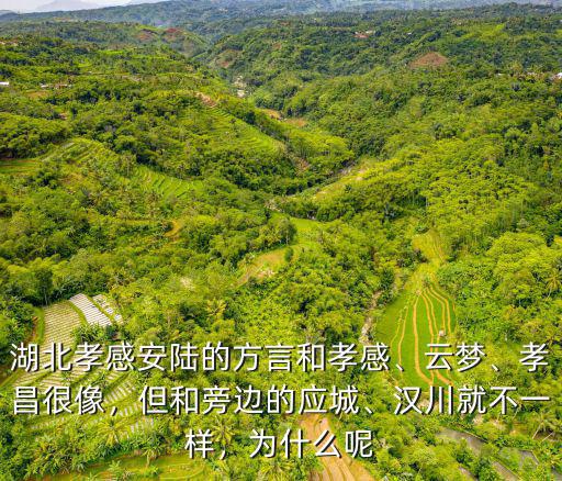 湖北孝感安陸的方言和孝感、云夢、孝昌很像，但和旁邊的應城、漢川就不一樣，為什么呢