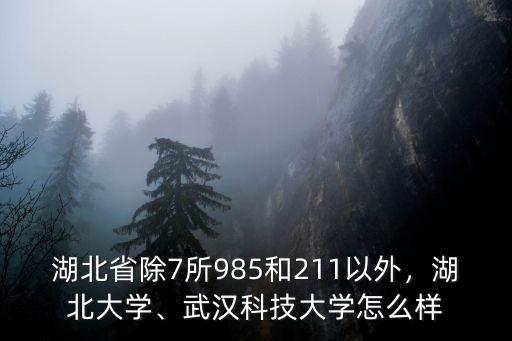 湖北省除7所985和211以外，湖北大學、武漢科技大學怎么樣