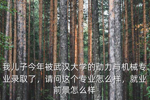我兒子今年被武漢大學的動力與機械專業錄取了，請問這個專業怎么樣，就業前景怎么樣
