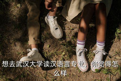 想去武漢大學讀漢語言專業，你覺得怎么樣