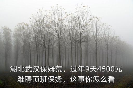 湖北武漢保姆荒，過年9天4500元難聘頂班保姆，這事你怎么看