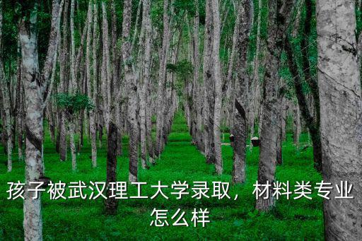 武漢理工大學怎么樣皮膚分類,武漢理工大學口碑怎么樣
