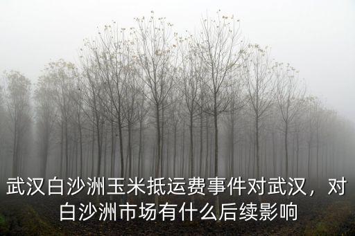 武漢白沙洲玉米抵運費事件對武漢，對白沙洲市場有什么后續(xù)影響