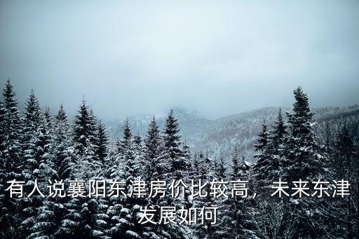 有人說襄陽東津房價比較高，未來東津發展如何