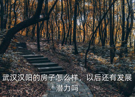 武漢保健產品協會漢陽工作站怎么樣,武漢漢陽的房子怎么樣