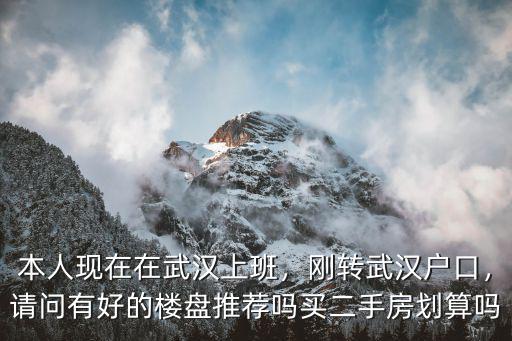 本人現在在武漢上班，剛轉武漢戶口，請問有好的樓盤推薦嗎買二手房劃算嗎