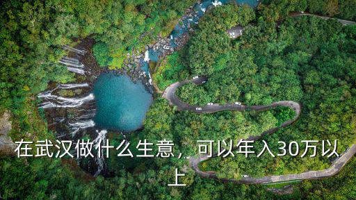在武漢做什么生意，可以年入30萬以上