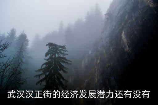 武漢的漢正街怎么樣,武漢漢正街改造得怎么樣了