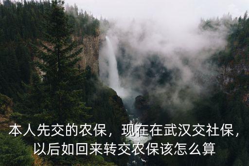 本人先交的農保，現在在武漢交社保，以后如回來轉交農保該怎么算