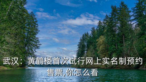 武漢：黃鶴樓首次試行網上實名制預約售票,你怎么看