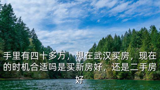 手里有四十多萬，想在武漢買房，現在的時機合適嗎是買新房好，還是二手房好