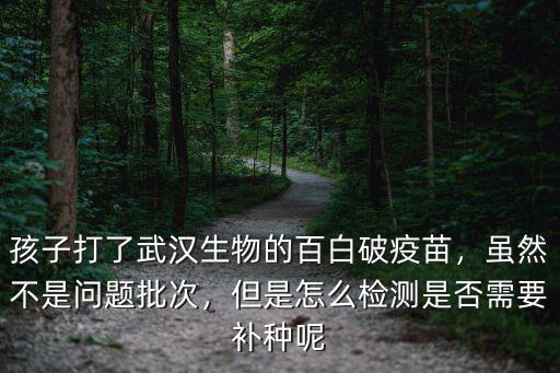 孩子打了武漢生物的百白破疫苗，雖然不是問(wèn)題批次，但是怎么檢測(cè)是否需要補(bǔ)種呢